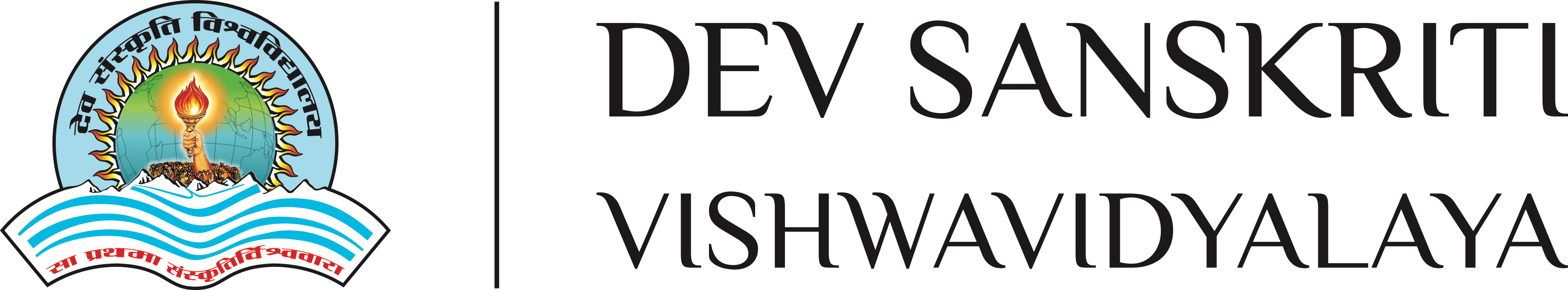 cropped-dsvv-logo-1-copy-min_1587029013